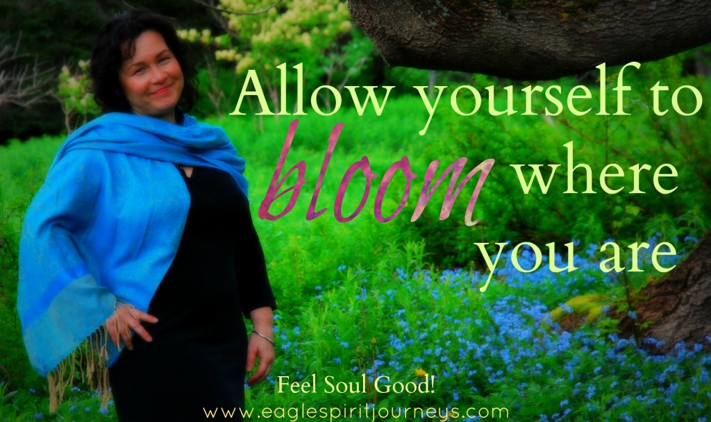 bloom where you are
