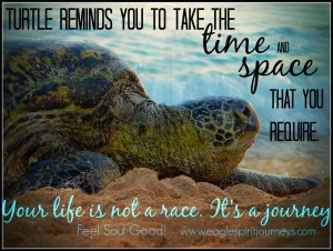 turtle medicine - life is not a race it's a journey